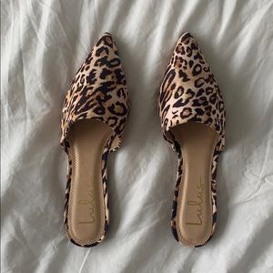 Brand New Lulus Leopard Print Mules